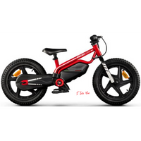 Ducati Kid e-Bike 3