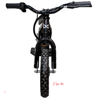 Infantil Flash ‎E-bike 2

