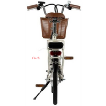 Nilox E-Bike J1 Plus e-bike 2